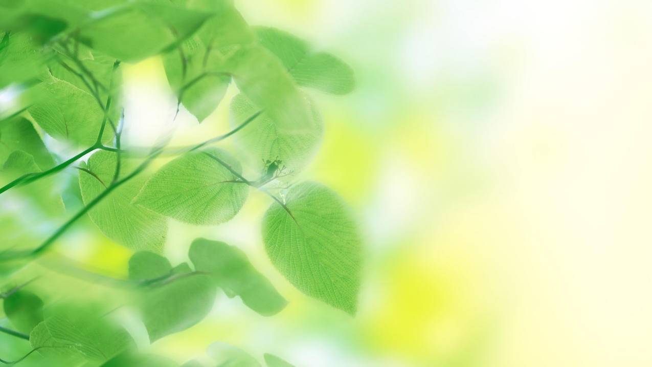 dy点赞秒到账-KS点赞平台24小时免费下单-ks粉丝秒涨网站